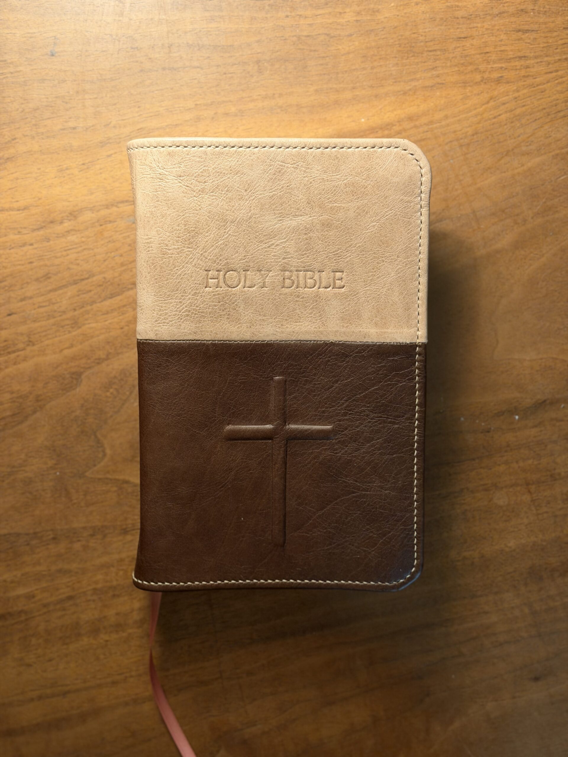 Leather Bible rebind by Half-Dead Handiwork